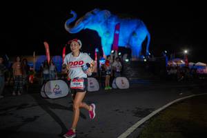 BIB: 
                            <button type="button" onclick="openModal(26551873)" class="btn btn-primary btn-sm float-right btn-popup" data-toggle="modal" data-target=".modal-high-quality">
                        <i class="fas fa-shopping-cart"></i> Add to Cart
                    </button>
                                            <button type="button" onclick="isThisMe(26551873, true)" class="btn btn-success btn-sm float-right btn-popup btn-isme hidden" data-toggle="tooltip" data-placement="bottom" title="นี่คือรูปของคุณใช่ไหม คลิกที่นี่เพื่อเอาเข้าอัลบั้ม">
                        <i class="fas fa-plus"></i> Add to album
                    </button>
                    <button type="button" onclick="isThisMe(26551873, false)" class="btn btn-warning btn-sm float-right btn-popup btn-isnotme hidden">
                        <i class="fas fa-ban"></i> Remove from album
                    </button>